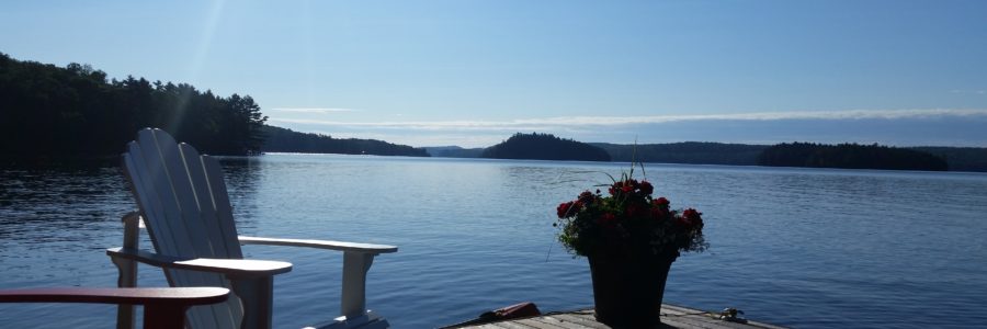 Workplace Wellness Begins with a Message